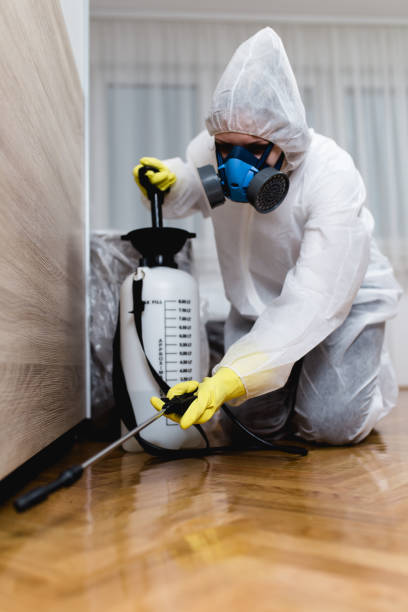 Best Termite Inspection and Treatment  in Judson, SC